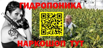 jwh Будённовск