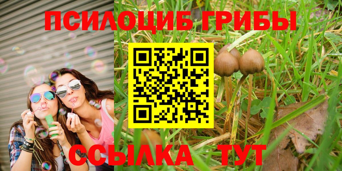 Галлюциногенные грибы мухоморы  Вход с VPN  Галлюциногенные грибы Magic Shrooms  Полысаево 